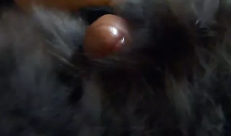 Ich sex online filmy prawdziwa dziwka Palm pracy