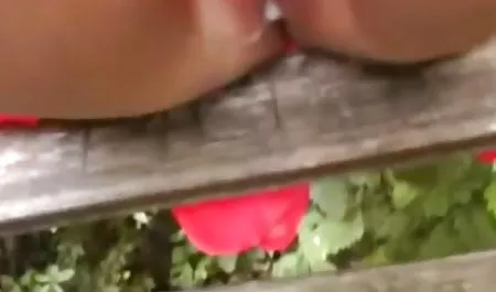 2 brudne uszkodzony anty-owca, filmiki sex online dwa-Sea