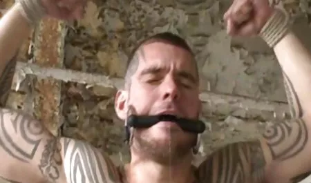 Amatorskie tyłek brutalny sex online